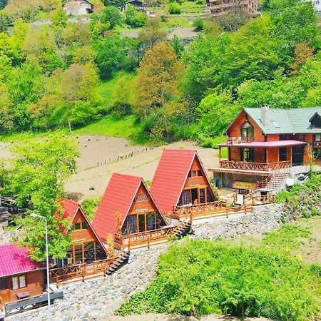 The Wooden House Uzungoel 우준괼 외부 사진