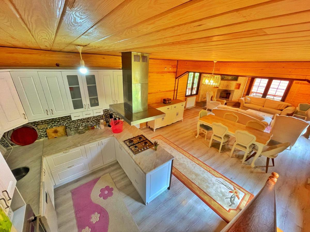 The Wooden House Uzungoel 우준괼 외부 사진