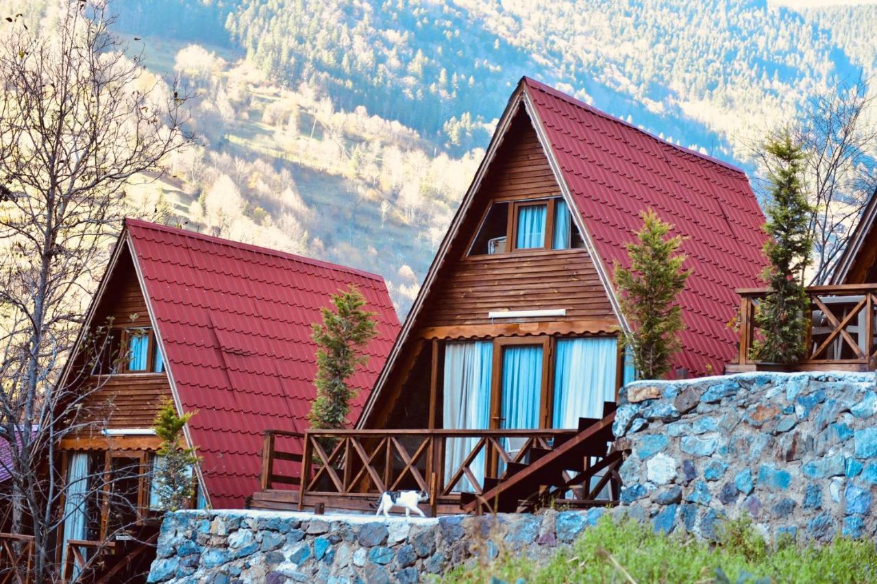 The Wooden House Uzungoel 우준괼 외부 사진